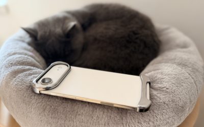 IMG_0619-scaled.jpeg - StiriAlese