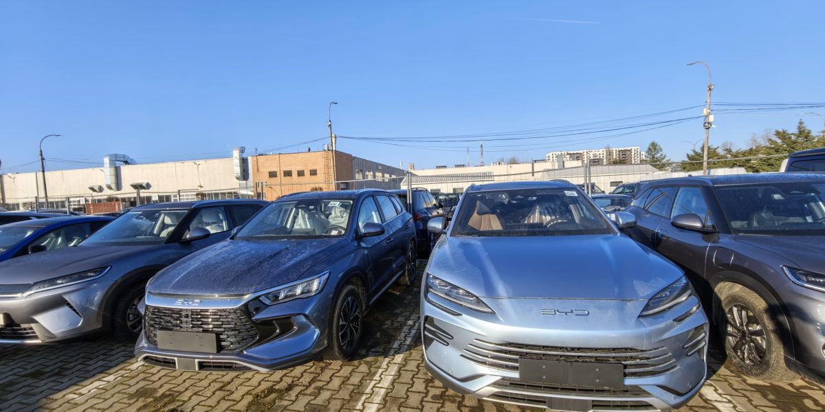 IMG_20260310_071039-scaled.jpg - StiriAlese