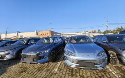 IMG_20260310_071039-scaled.jpg - StiriAlese