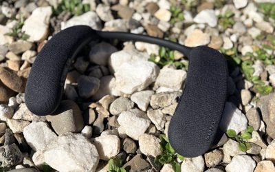 IMG_4972-scaled.jpeg - StiriAlese