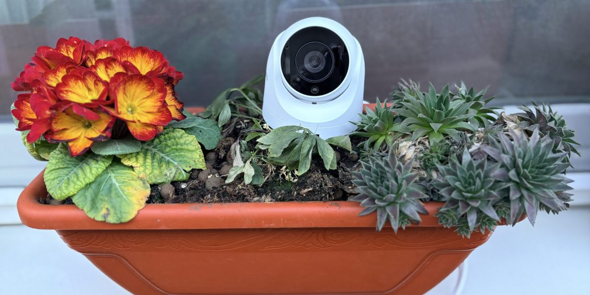 IMG_4998-scaled.jpeg - StiriAlese