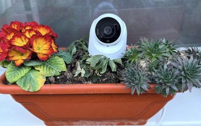 IMG_4998-scaled.jpeg - StiriAlese