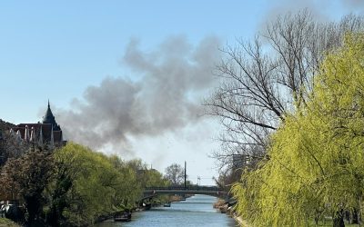 Incendiu de vegetație la Freidorf, pompierii intervin aproape de Liceul Auto