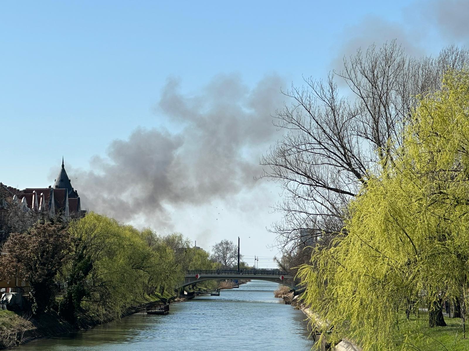 Incendiu de vegetație în zona Freidorf. Pompierii intervin lângă Liceul Auto