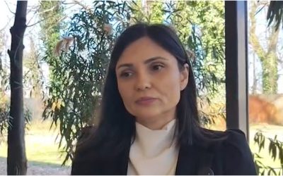 Motorina se scumpește în plină campanie agricolă, fermierii se îndoiesc dacă mai pot planta primăvara