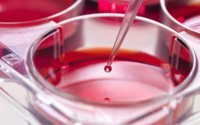 Jmhhc2g9ZjQ4OWE3ZTVlOWYwNmRlZjgyOWM1OTlmNGVkZWZjOTM.thumb_.jpg - StiriAlese