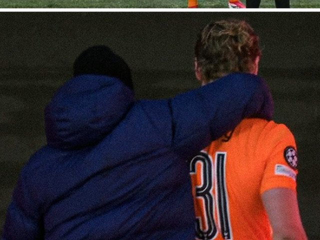 JnpjPTEmaGFzaD1jNDgwOTM5YzEyNGVhZmQyMTEwZGJhYzVkODE2ZDRlNQ.thumb_.jpg - StiriAlese