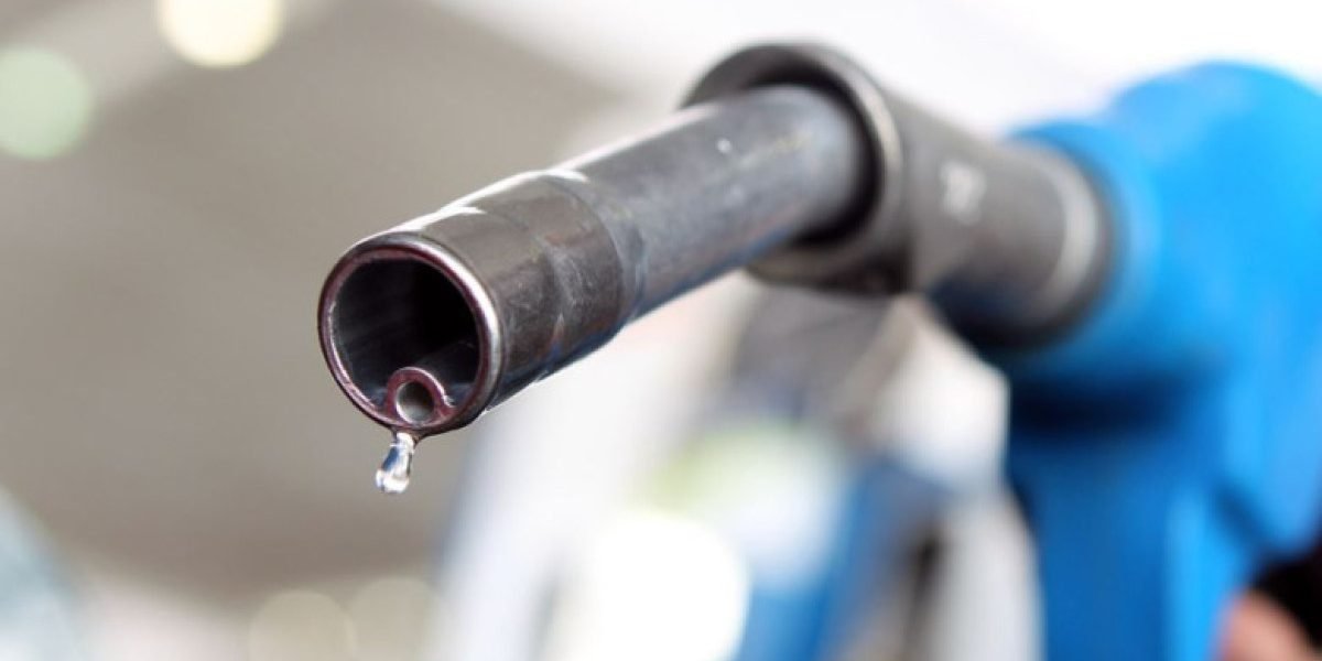 MCZ6Yz0xJmhhc2g9OTIyNjc1MWYyMWE0ZDlkOTkwMzlmOTU2ZjNiMTJkMTQ.thumb_.jpg - StiriAlese