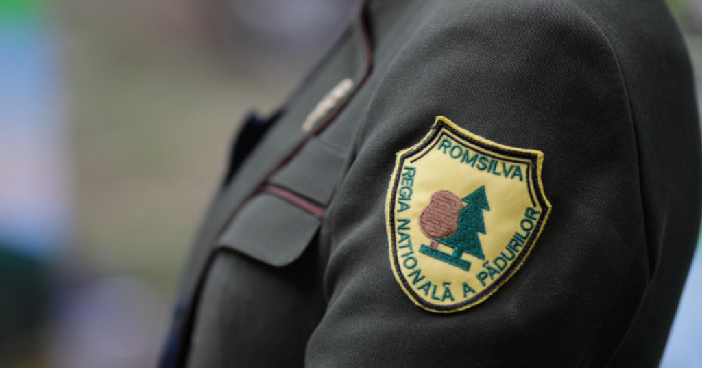 Guvernul României a aprobat joi reorganizarea structurii administrative a Romsilva, compania națională de păduri, într-un efort de a eficientiza gestionarea resurselor forestiere ale țării
