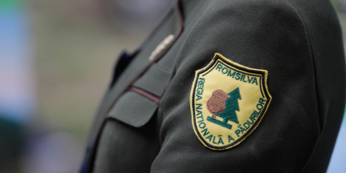 MCZ6Yz0xJmhhc2g9ZGE1MTcyNWFmNWZhZjgwMTczOWFjY2I5ODEyNTVkZWU.thumb_.jpg - StiriAlese