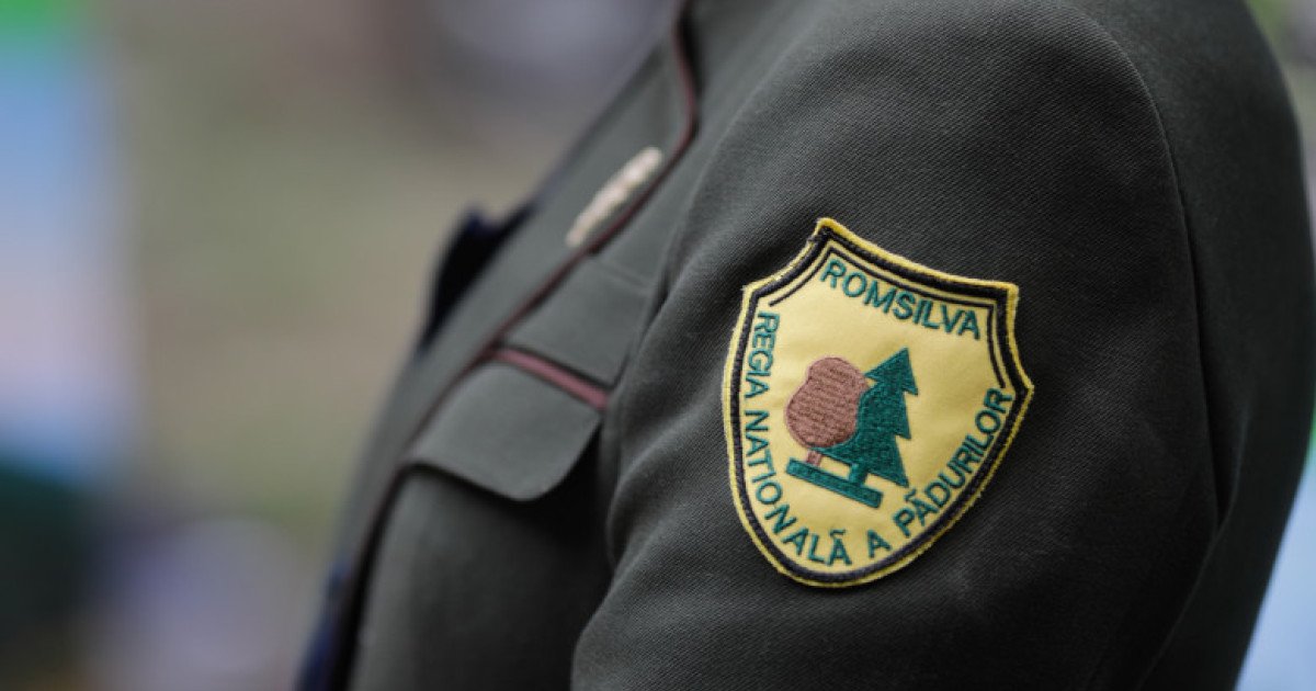 Guvernul României a aprobat joi reorganizarea structurii administrative a Romsilva, compania națională de păduri, într-un efort de a eficientiza gestionarea resurselor forestiere ale țării