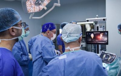 MGI5ZDAxMTA3ZWI4Nzk3NTEwZWU3YTc5YTM.thumb_.jpg - StiriAlese