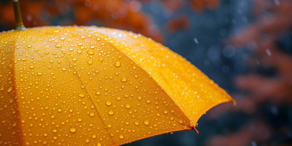 MWQyZDUzZmIwOGQ3NjhmMzg4OTNhNGMwODFlOTkz.thumb_.jpg - StiriAlese