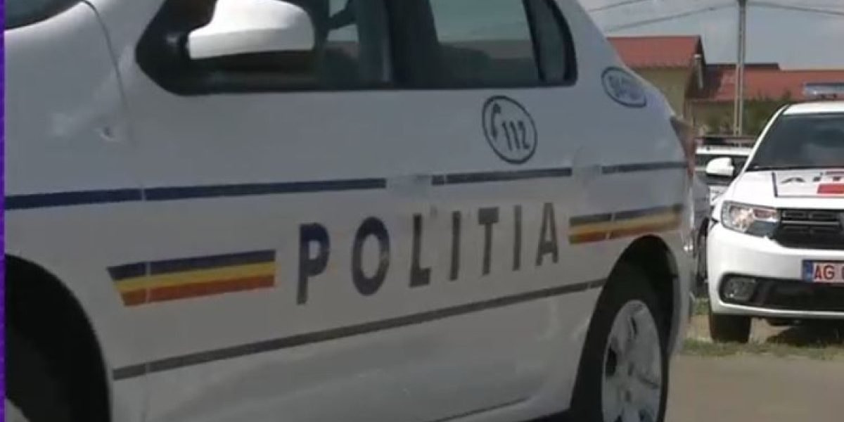 Mzk0Yzc3MDJjZWU3OGQzODIxZWFkMGQxMWQwOWNk.thumb_.jpg - StiriAlese