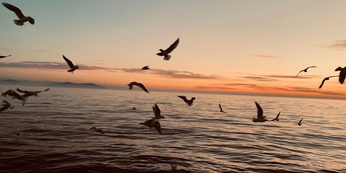 Oamenii de știință au creat tornade de foc gigantice care pot ajuta la salvarea oceanelor