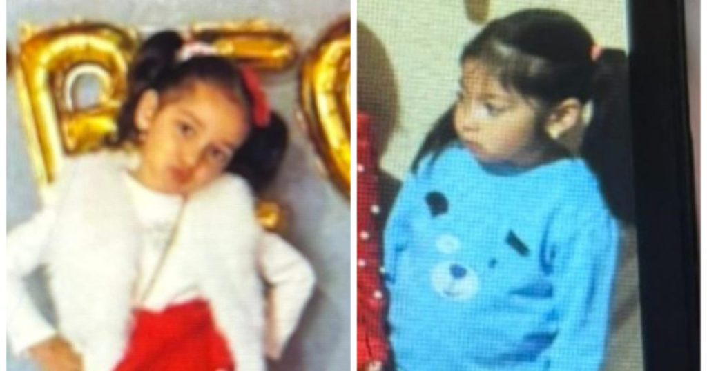 Cele două fetițe date dispărute din Târnăveni, în vârstă de 4 și 5 ani, au fost găsite în viață după o zi de căutări intense, în zone izolată ale pădurilor din județul Mureș