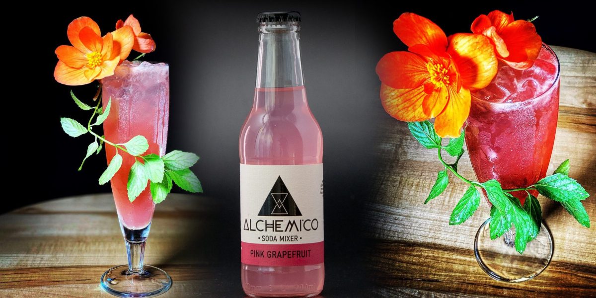 Paloma-1-scaled.jpg - StiriAlese