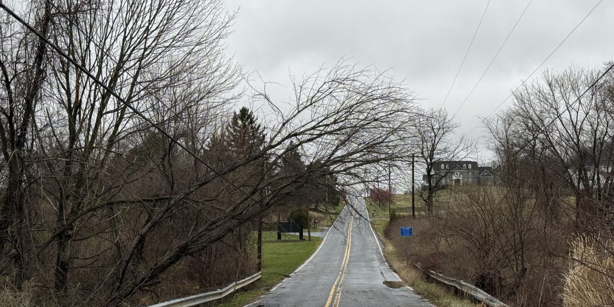 Photo-Mar-16-2026-5-28-52-PM-1-scaled.jpg - StiriAlese