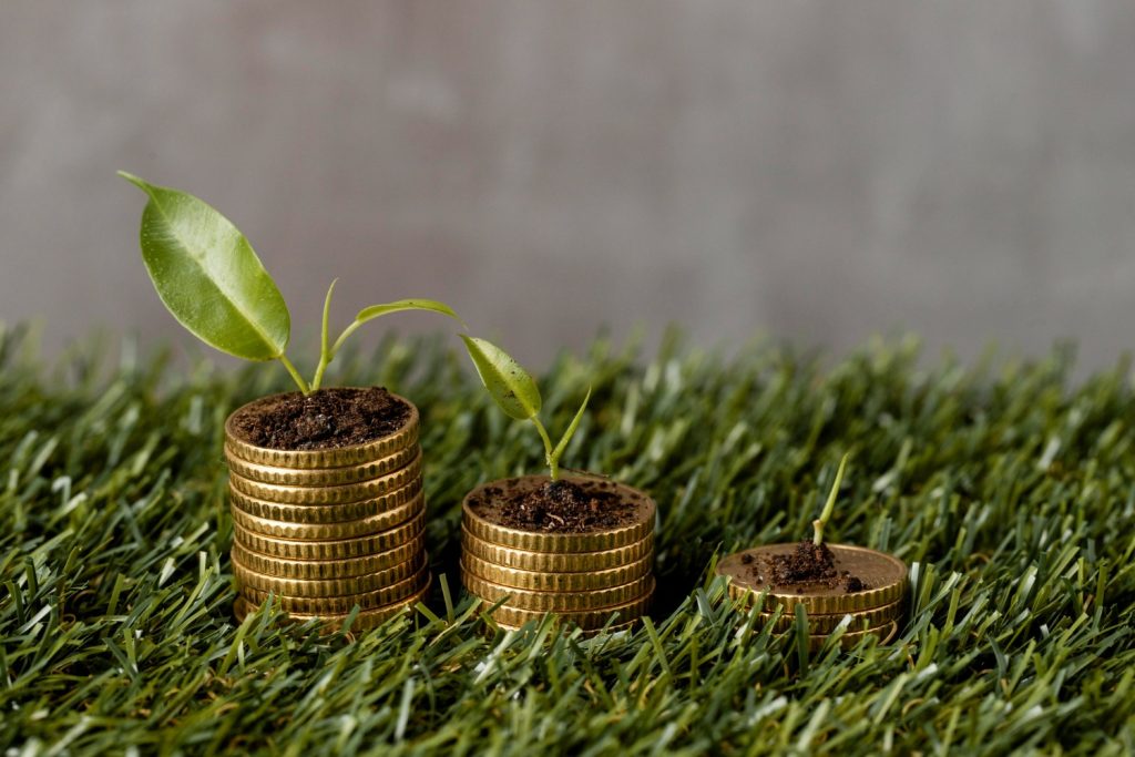 Încearcă o schimbare majoră în modul în care fermierii români pot accesa subvențiile din fondurile europene și naționale: noile reguli adoptate pentru anul de cerere 2026 promit simplificări importante, în special pentru micii agricultori și cea mai prietenoasă formă de agricultură, cea ecologică