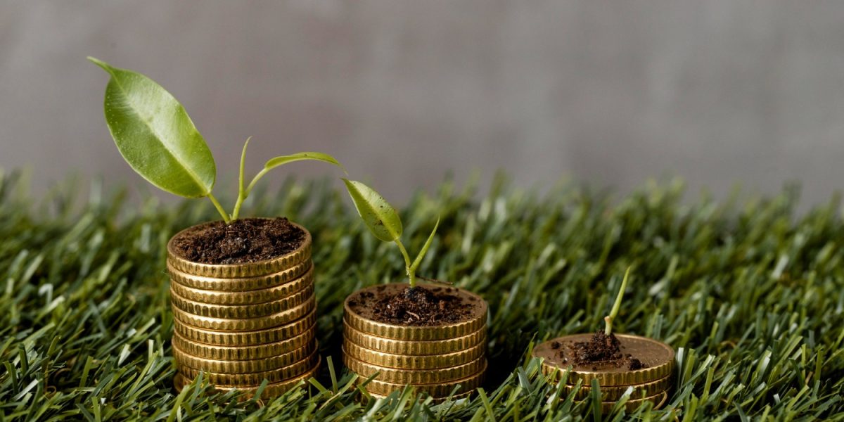 Plata-pe-hectar-de-la-APIA-mai-usor-de-obtinut-in-2026.-Ce-fermieri-sunt-avantajati.jpg - StiriAlese