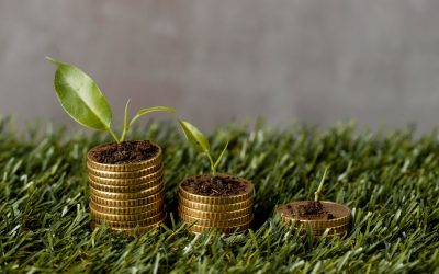 Plata-pe-hectar-de-la-APIA-mai-usor-de-obtinut-in-2026.-Ce-fermieri-sunt-avantajati.jpg - StiriAlese