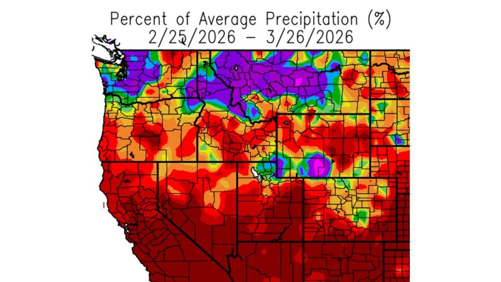 Did climate change feed March's wild weather?