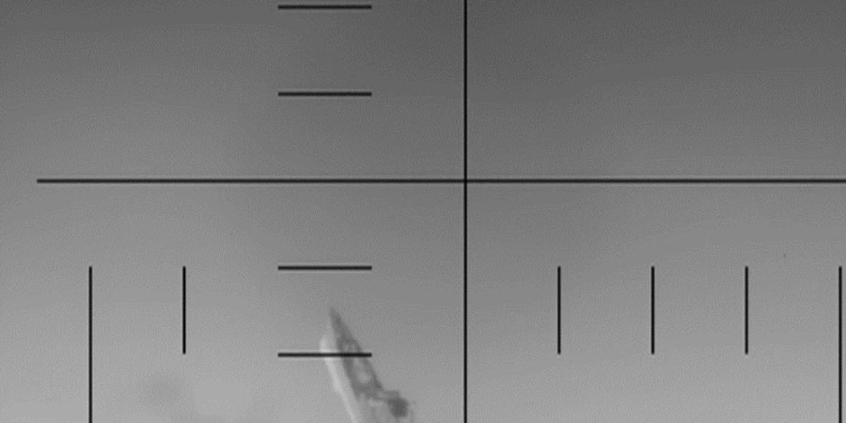 Screenshot-2026-03-04-at-17.43.20.jpg - StiriAlese