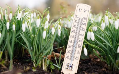 Temperaturi peste medie în București până marți, anunță meteorologii