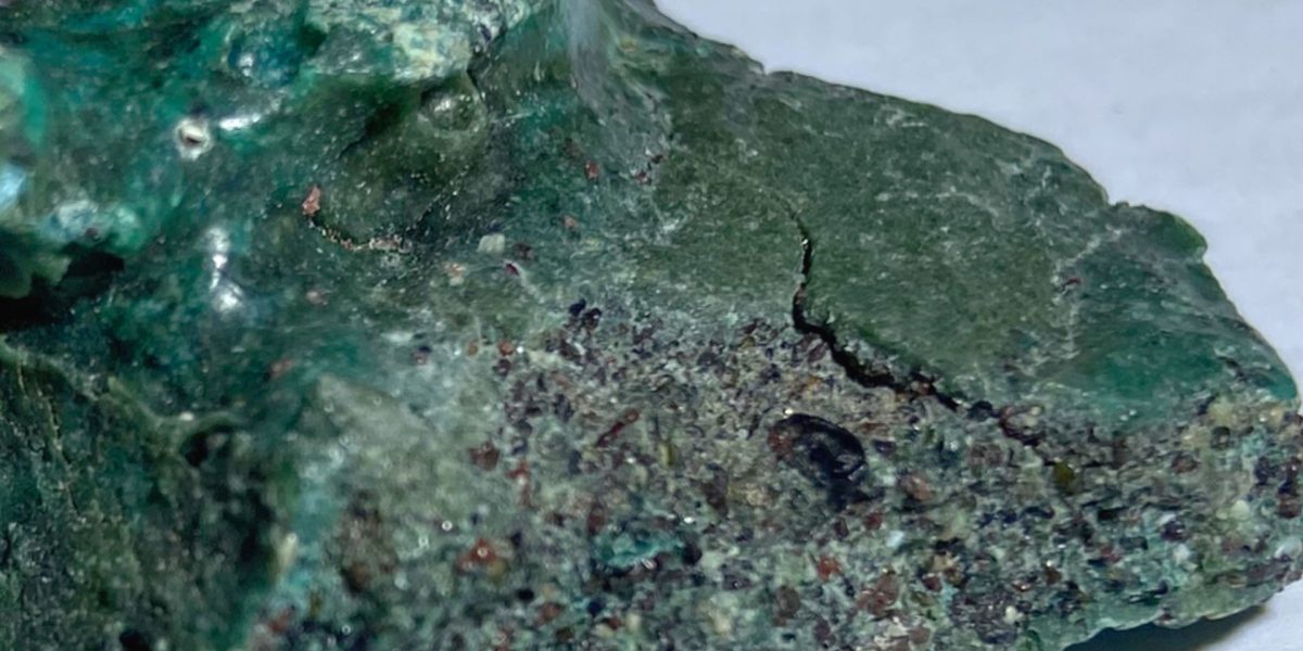 Testoasele-marine-isi-fac-cuiburi_Fernand-Avelar-Santos_Agencia-FAPESP_descopera.jpg - StiriAlese