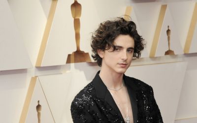Timothee-Chalamet.jpg - StiriAlese