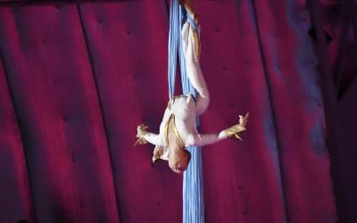 Un-nou-accident-cumplit-la-circ.-O-acrobata-care-era-in-Roata-mortii-a-cazut-in-gol-4-metri-ce-spun.jpeg - StiriAlese