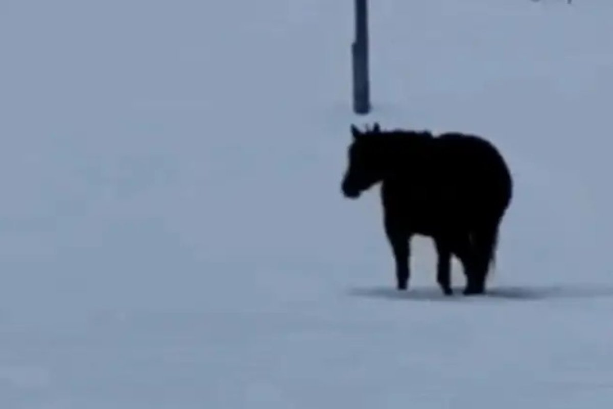 Privind mai mult, deveniți tot mai confuz, atrage atenția