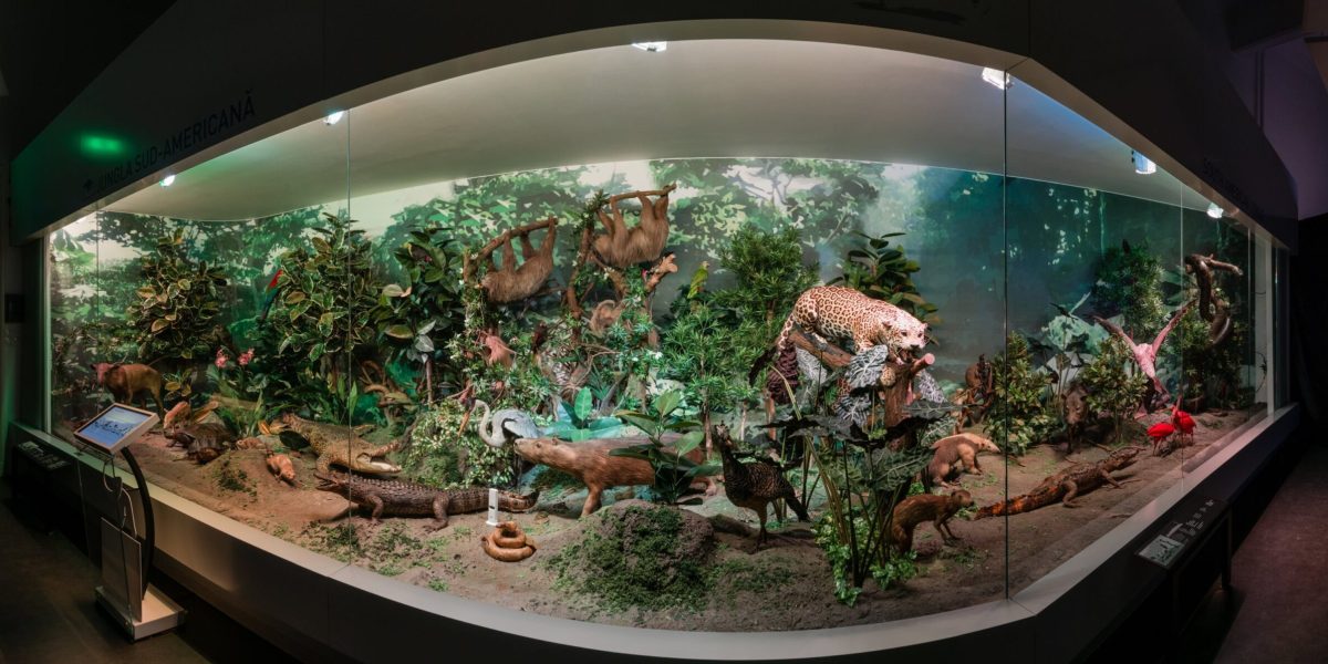 Atelier pentru tineri cu cerințe speciale la Muzeul „Grigore Antipa”