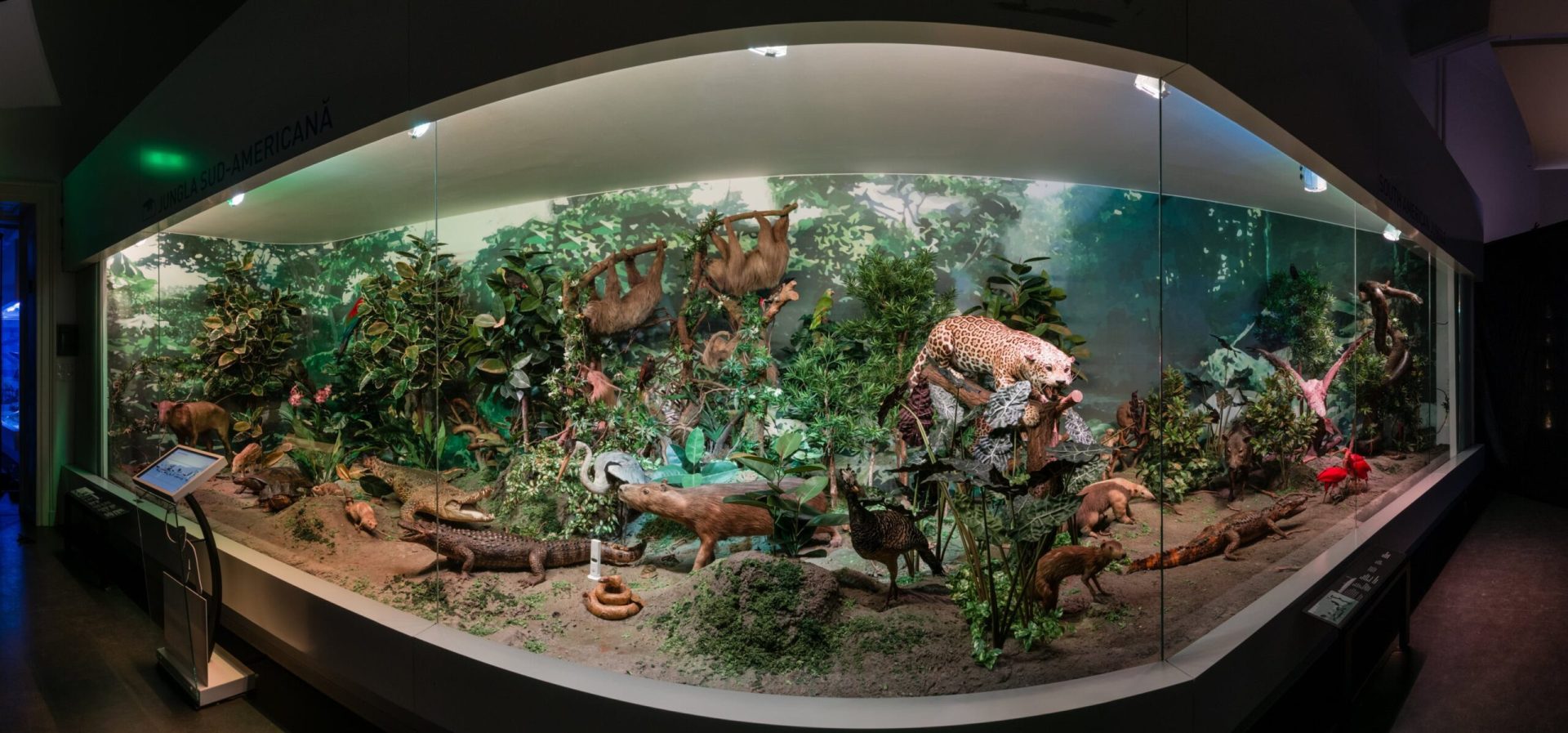 Atelier pentru tineri cu cerințe speciale la Muzeul „Grigore Antipa”