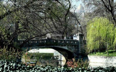 Vreme frumoasă în Capitală, cu ceață și vânt slab în zilele următoare