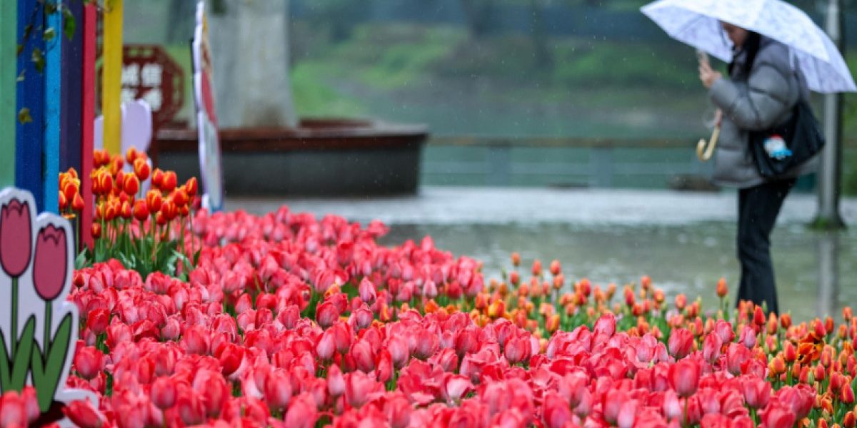 Vreme capricioasă în România: temperaturile cresc, dar vin ploile. Meteorolog: Va avea un caracter pronunțat de schimbare