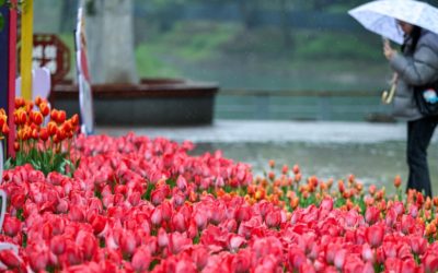 Vreme capricioasă în România: temperaturile cresc, dar vin ploile. Meteorolog: Va avea un caracter pronunțat de schimbare