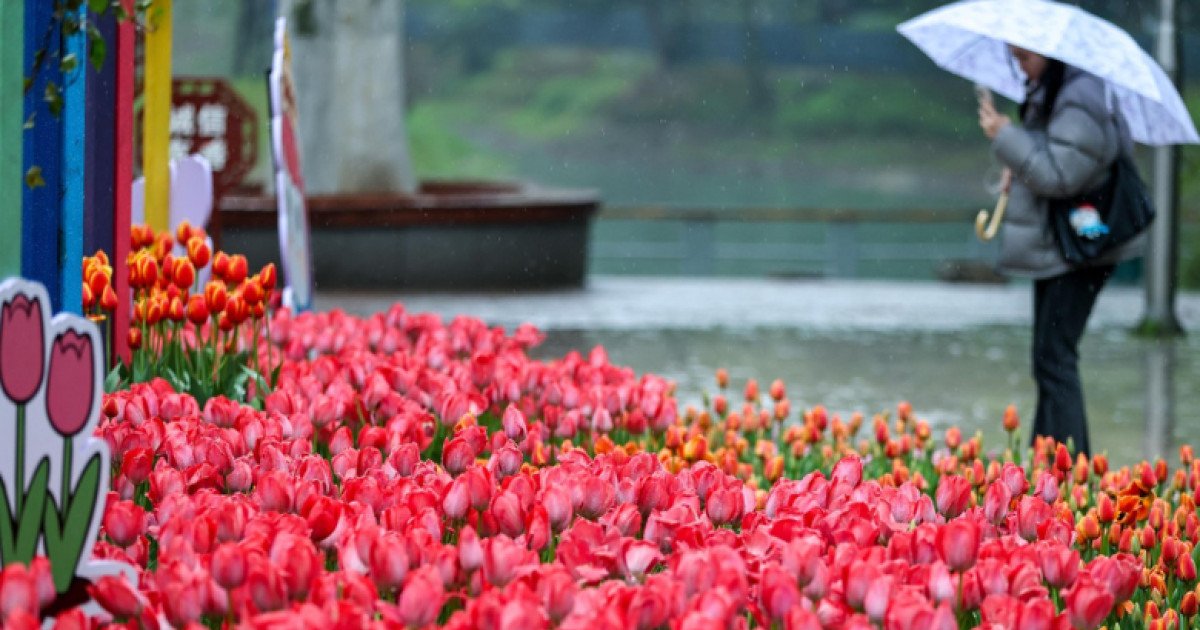 Vreme capricioasă în România: temperaturile cresc, dar vin ploile. Meteorolog: Va avea un caracter pronunțat de schimbare