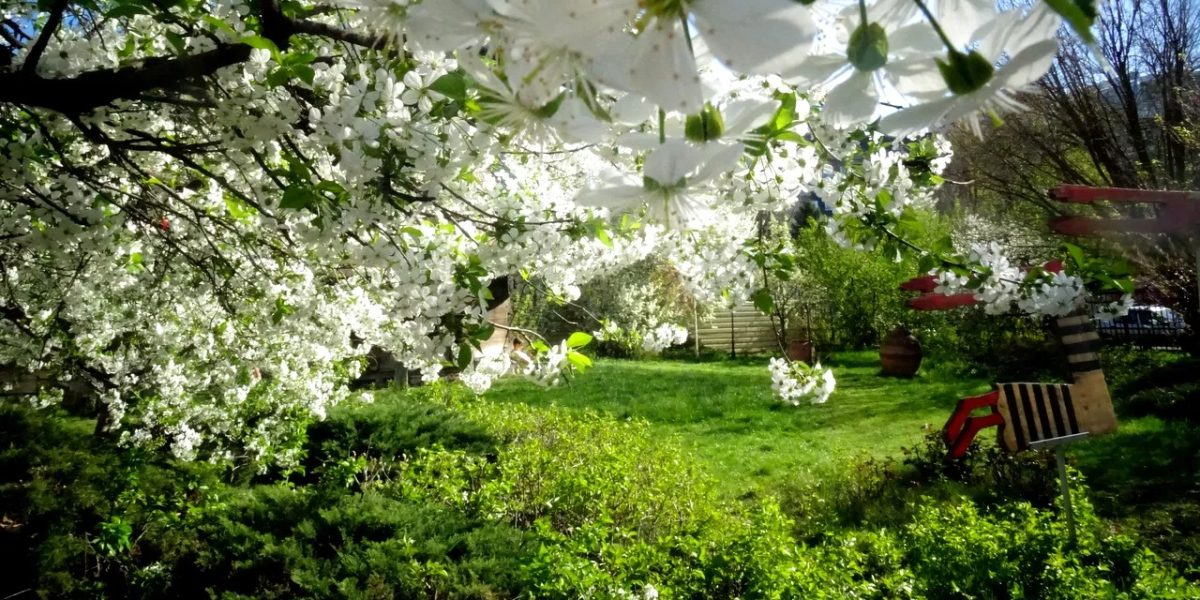 Vreme-neobisnuit-de-calda-in-Romania.jpg - StiriAlese