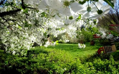 Vreme-neobisnuit-de-calda-in-Romania.jpg - StiriAlese