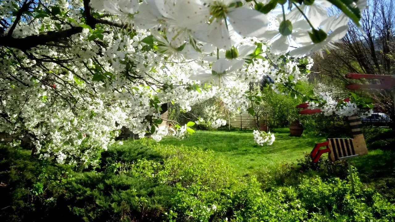 Vreme caldă neașteptată în România, temperaturile vor ajunge până la 30°C în săptămâna următoare