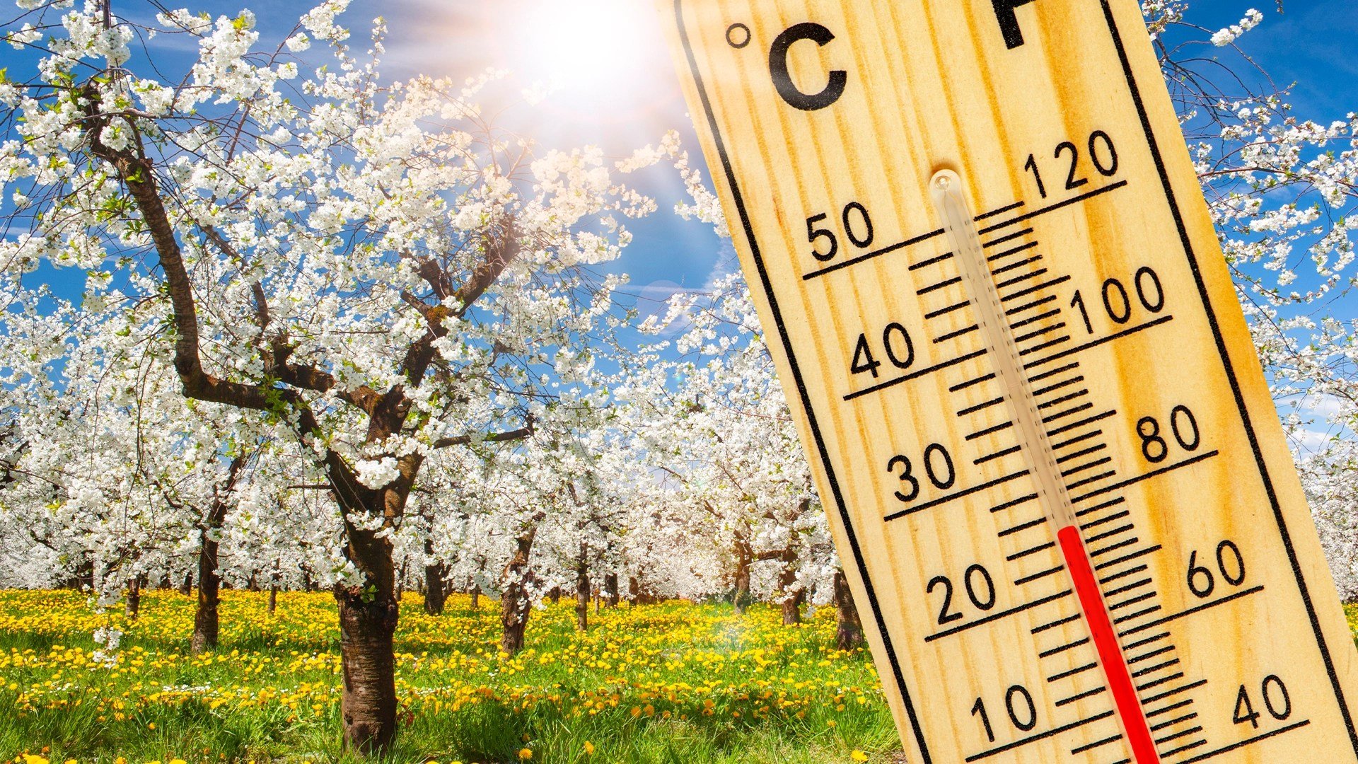 Cum va fi VREMEA de Paște! Prognoza meteo pe regiuni