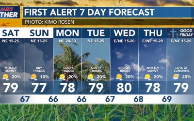 hawaii weather tomorrow few showers and strong trade winds expected