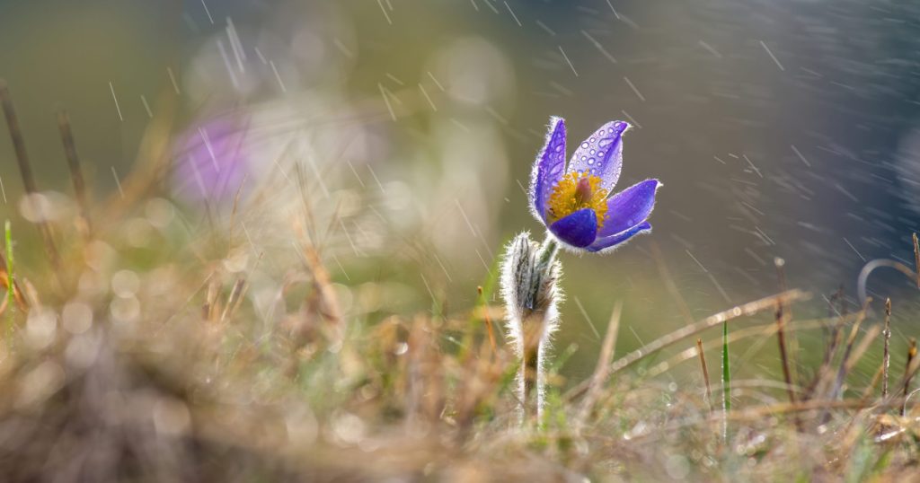 Schimbare bruscă a vremii în România. După temperaturile de primăvară, meteorologii anunță o răcire din cauza unui val de aer polar