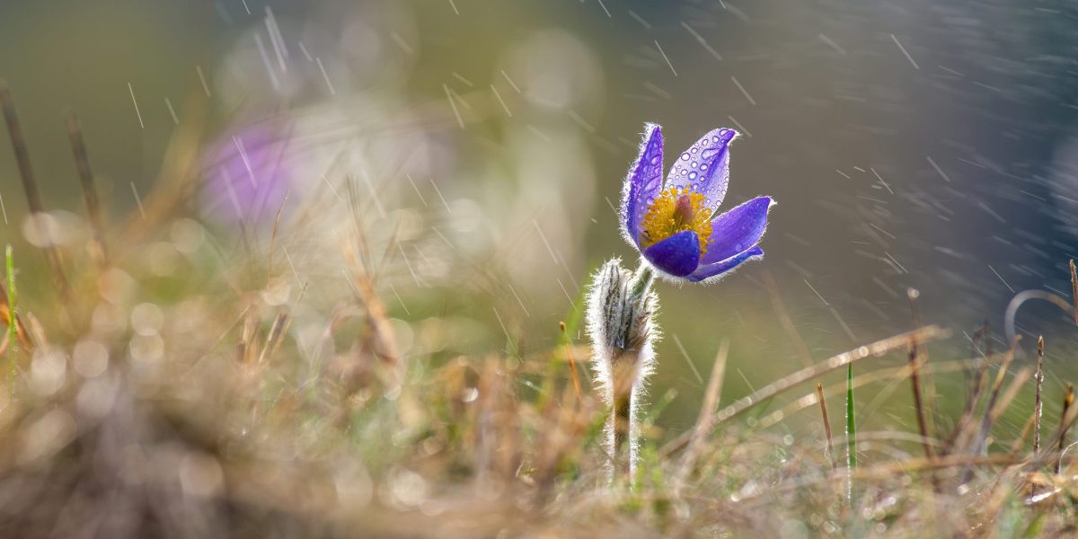 Schimbare bruscă a vremii în România. După temperaturile de primăvară, meteorologii anunță o răcire din cauza unui val de aer polar