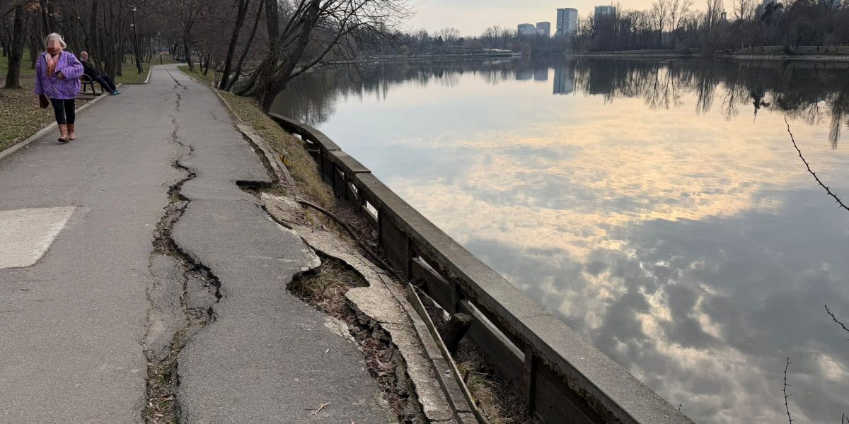 Lucrări în Parcul Regele Mihai I, fără analiză tehnică, cost total 2 milioane euro