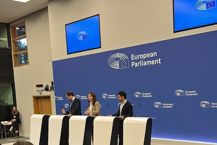 Parlamentul European cere 10 milioane de locuințe; în Capitală, apartamente de stat pentru politicieni și vedete