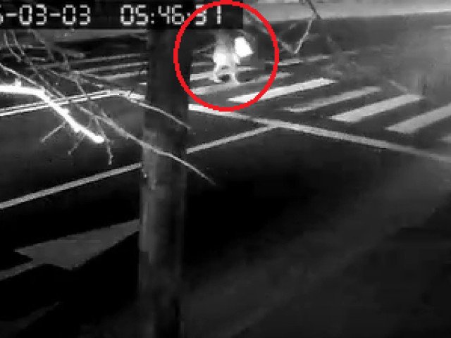 Yz0xJmhhc2g9M2QyNTI1ZWE2YWI5Y2M2YThiYTMxN2E2MWFhMzYzOTA.thumb_.jpg - StiriAlese