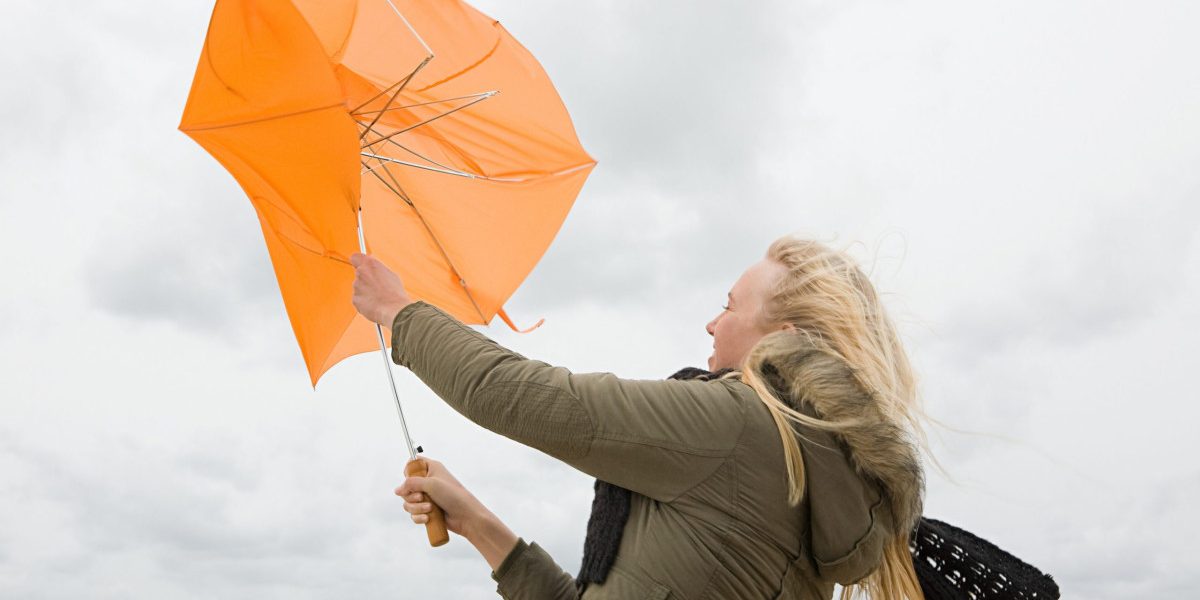 YzMyN2YyYzBlYTYwY2RjOTU3ZDBiOTY4NTIyMGI.thumb_.jpg - StiriAlese