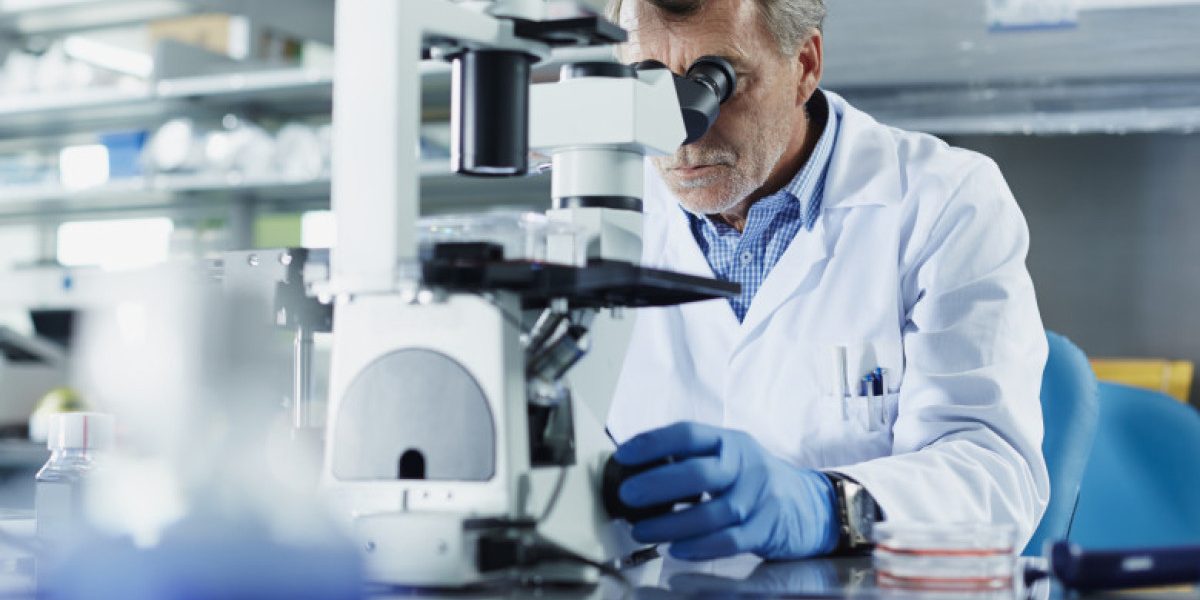 aD02MzAmemM9MSZoYXNoPTUyOTcxM2E4YjRiZmFiZTBiNDE1YThkM2I2ZTU0MDM4.thumb_.jpg - StiriAlese